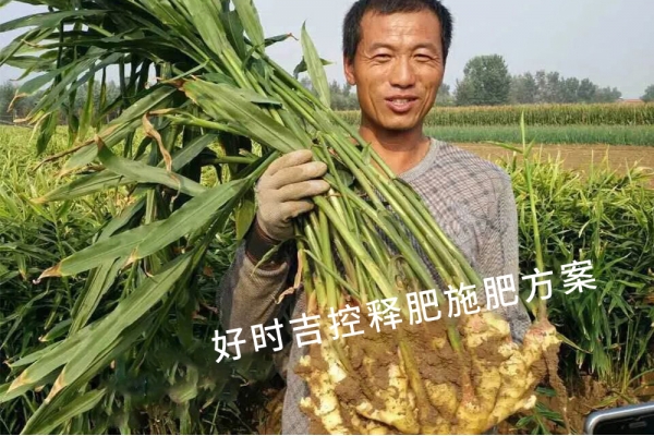 姜農(nóng)滿(mǎn)意，效果杠杠的！